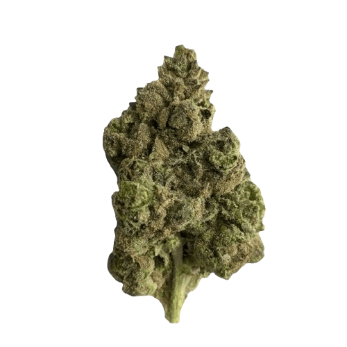 Cannamedical Sativa forte NM Goofiez