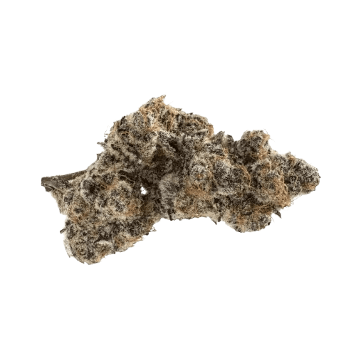 Greyscales FJ 26/1 Flapjacks