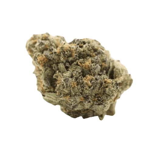 Green Karat PV Pavé S1