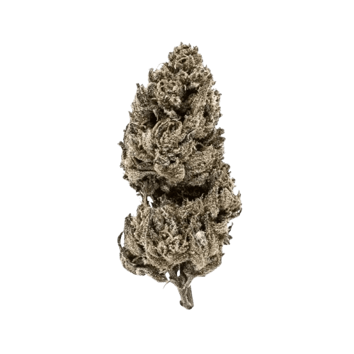 Good Supply Cannabisblüten THC25 MRG