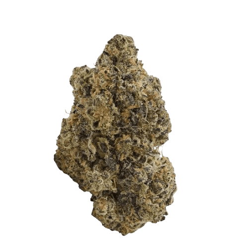 TRUU GT 27:01 Crumbled Lime