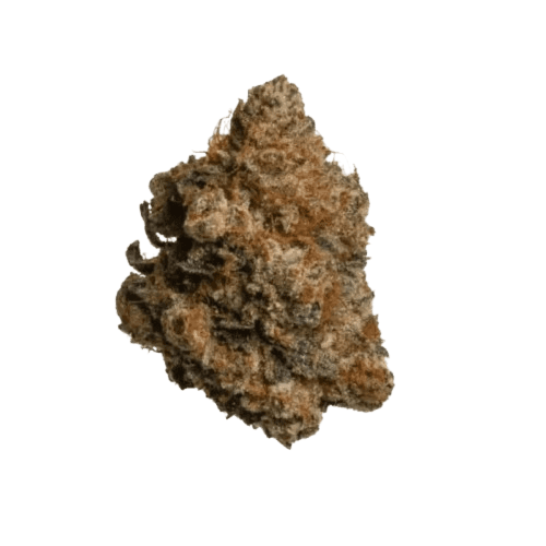 Demecan Core Cros 29:01 Crossbow