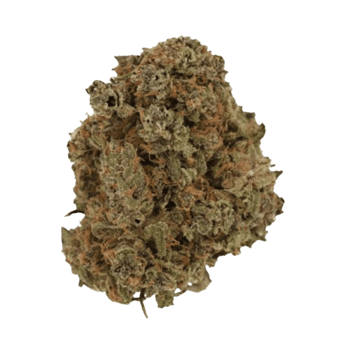 Cannamedical Indica Forte DK 22/1 Gelat Skyfloater