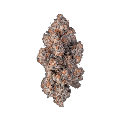 avaay Khalifa 28/1 KM Khalifa Mints