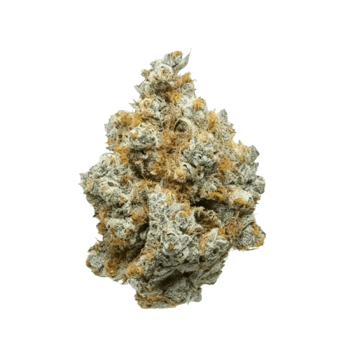 CannXChange CC 25/1 Cheddar Cheese