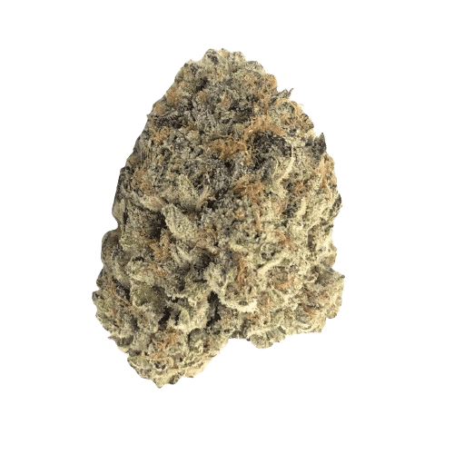 Roxton Air BD 24/1 Flap Jacks