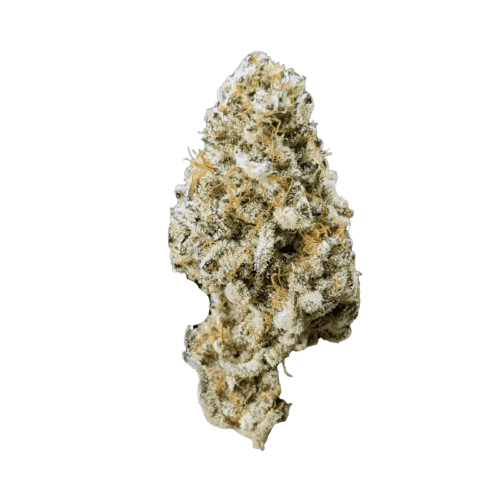 Demecan CRAFT Walkie Talkie 31:01 Sugar Cake