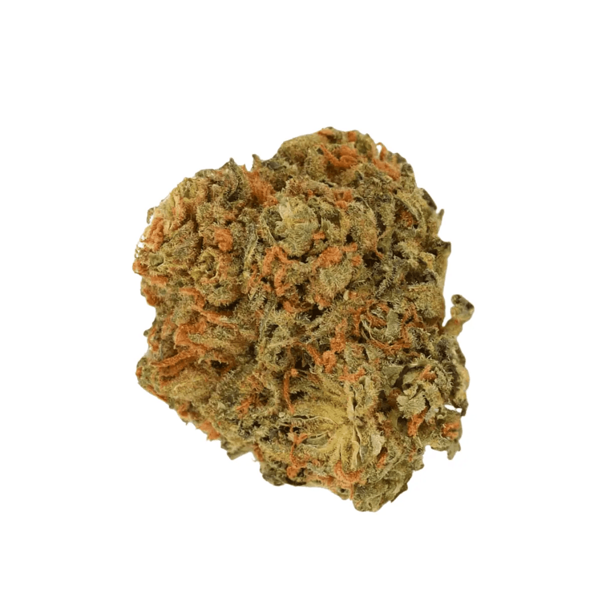 Luana 32/1 Pine Solpina Magic